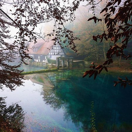 Ferienwohnung Reimann Mit Kostenloser Albcard Blaubeuren Bagian luar foto