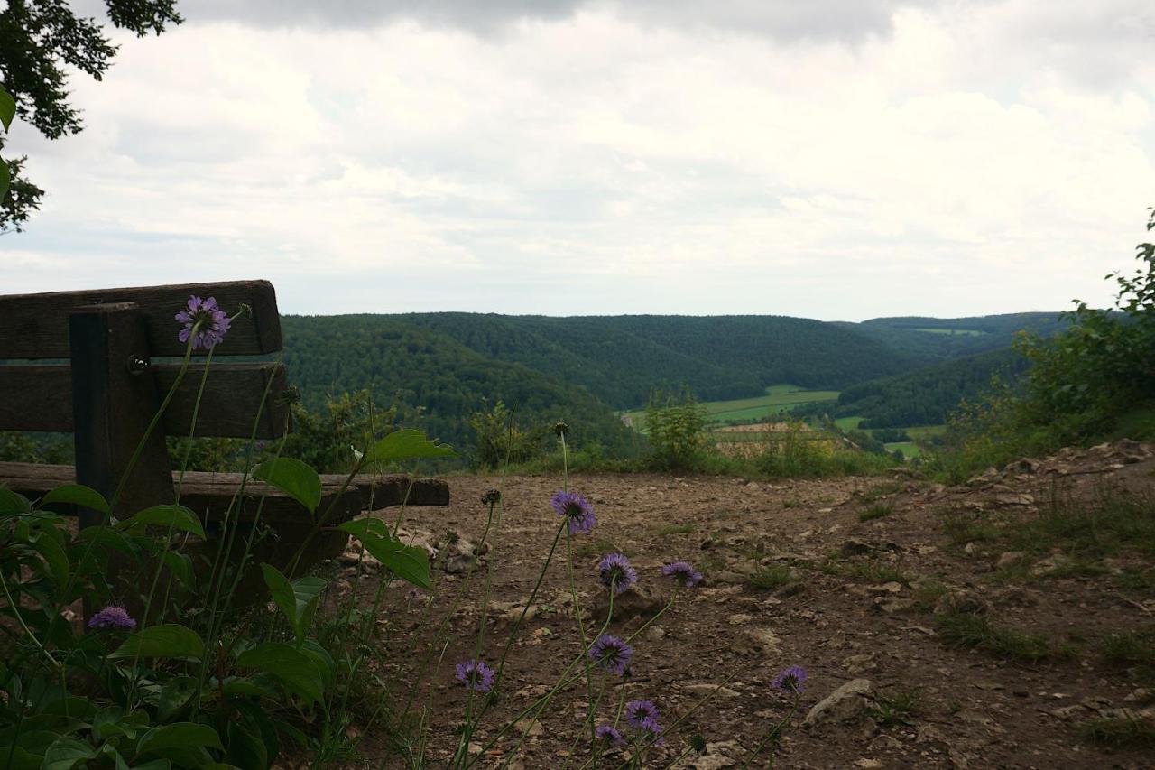 Ferienwohnung Reimann Mit Kostenloser Albcard Blaubeuren Bagian luar foto